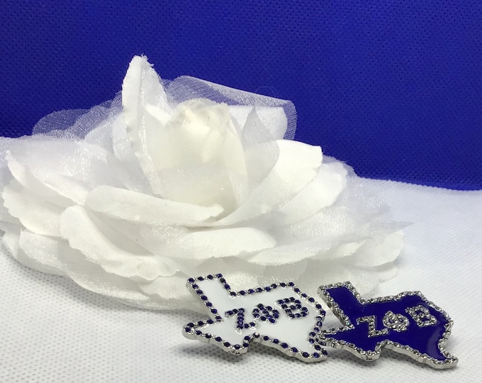 Zeta Phi Beta State of Texas Pin