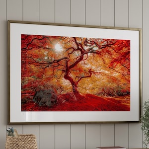 Japanese Maple Tree Photo Print, Portland Japanese Garden Photo, Red Orange Home Decor, Japan Photo Print, Japan Wall Art