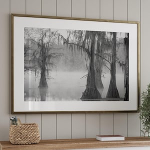 Caddo Lake Black and White Photography Print: Louisiana Swamp Cypress Tree Wall Art