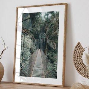 Hanging Bridges Photo, Costa Rica Photography, Mistico Arenal Hanging Bridges Park, Rainforest Photo