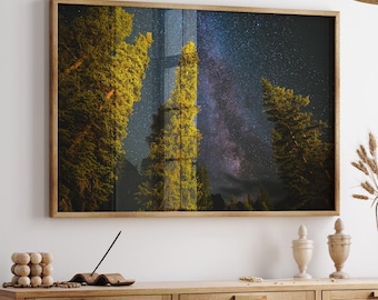 Milky Way Forest Photo: Banff Night Sky Astrophotography Print