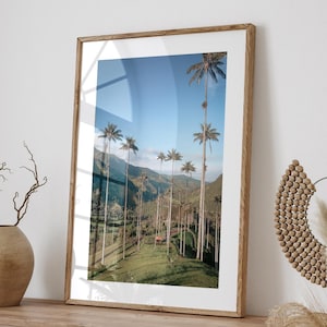 Cocora Valley Photo Poster Print, Palm Tree Photography, Wax Palm Trees, Salento Colombia, Colombia Wall Art