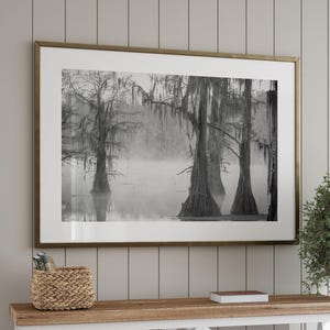 Caddo Lake Black and White Photography Print: Louisiana Swamp Cypress Tree Wall Art