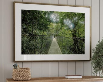 Foto regenwoud Costa Rica: hangende bruggen, jungle-huisdecoratie