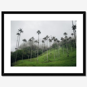 Cocora Valley Photo Poster Print, Palm Tree Photography, Wax Palm Trees, Salento Colombia, Colombia Wall Art