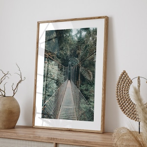 Hanging Bridges Photo, Costa Rica Photography, Mistico Arenal Hanging Bridges Park, Rainforest Photo