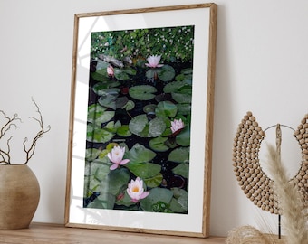 Impresión fotográfica de flor de loto rosa: Arte de jardín de Sintra, Portugal