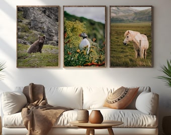Iceland Wildlife Photography Print Set, Arctic Fox, Puffin, Horse Triptych, Nordic Nature Wall Art