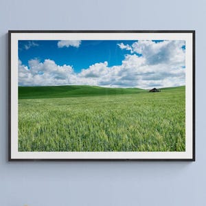 Impresión fotográfica del condado de Palouse, impresión artística de Washington, foto de las colinas verdes ondulantes, arte mural del condado de Palouse, fotografía de granjas