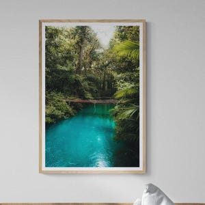 Costa Rica Photography, Tenorio Volcano National Park, Rio Celeste Photo, Hanging Bridge, Rainforest Photo