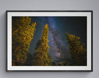 Milky Way Photo, Pine Tree Photo, Astrophotography Print, Celestial Wall Art, Banff Milky Way, Canada Milky Way