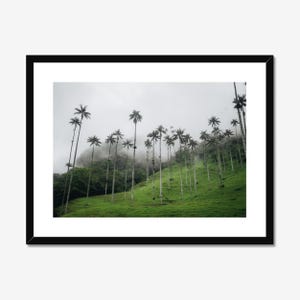 Cocora Valley Photo Poster Print, Palm Tree Photography, Wax Palm Trees, Salento Colombia, Colombia Wall Art