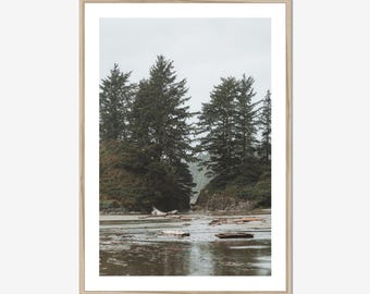 Tofino Driftwood Beach Print, Pacific Northwest Wall Art, Coastal Decor