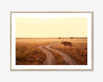 African Landscape Print, Botswana Safari Wall Art, Gemsbok Sunset Photography