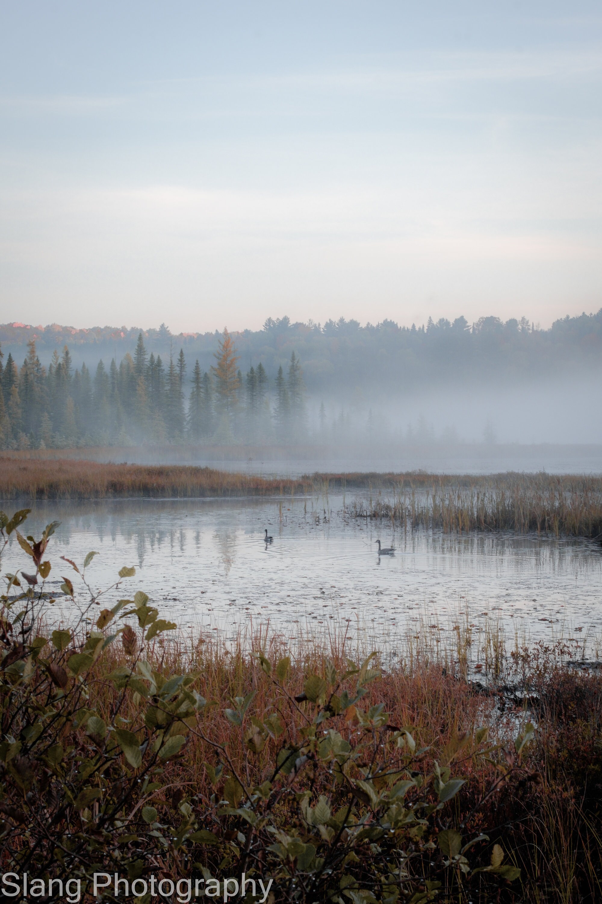 Algonquin 2024 Calendar, Algonquin Park Gift, Canada Nature Calendar