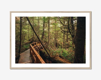Rainforest Trail Photo Print: Pacific Rim National Park, Vancouver Island