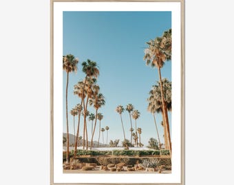 Palm Springs Photography Print: Desert Palm Trees, California Wall Art