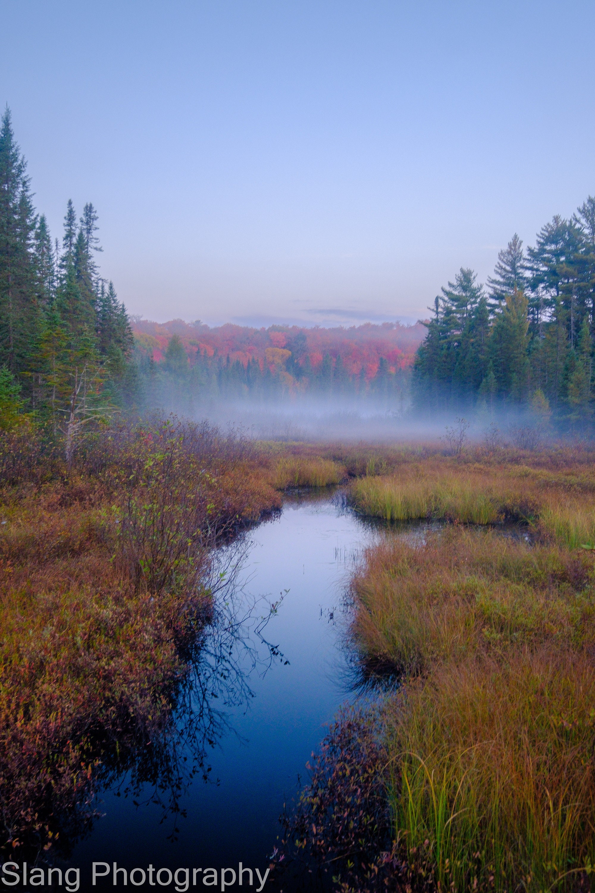 Algonquin 2024 Calendar, Algonquin Park Gift, Canada Nature Calendar