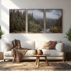 Pacific Northwest Forest River Print Set of 3, Moody Nature Photography, Vancouver Island Triptych Wall Art