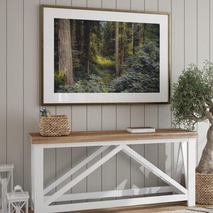 Redwood National Park Photo Print, Forest Photography Wall Art, California Forest Print, Forest Home Decor, California Wall Art