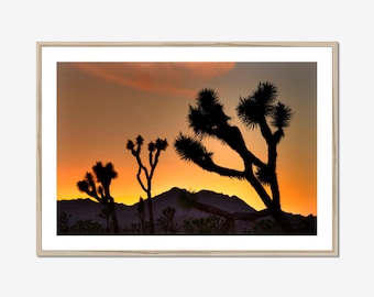 Joshua Tree Sunset Wall Art: Three Tree Silhouette California Photography Print