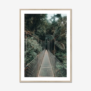 May include: A framed wall art print featuring a long, narrow metal suspension bridge stretching into a dense, dark green rainforest. The bridge has a metal grate floor and wire mesh sides, surrounded by lush tropical foliage and tall trees.