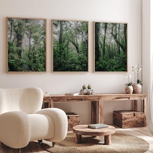 Cloud Forest Set of 3 Prints, Foggy Nature Poster Forest 3 Piece Set, Misty Forest Photo Foggy Landscape Large Fog Forest