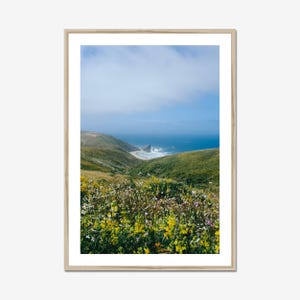 California Coast Wildflower Print, Coastal Landscape Photography Wall Art, Pacific Ocean Nature Decor, Spring Hills Scene, Tomales Point