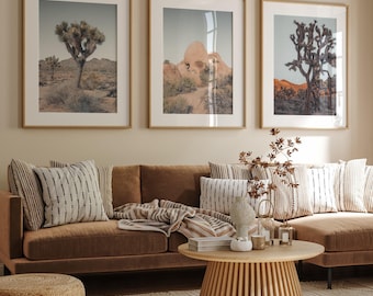 Joshua Tree National Park Set of 3 Prints: Desert Wall Art