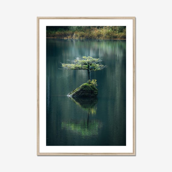 Fairy Lake Bonsai Tree Print: Vancouver Island Nature Reflection - Etsy