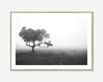 Foggy Forest Print: Black and White Tree Wall Art, Moody Nature Photography Decor