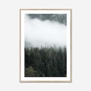 Impresión de niebla de la isla de Vancouver: fotografía melancólica del bosque del noroeste del Pacífico