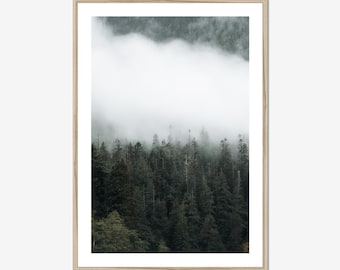 Impresión de niebla de la isla de Vancouver: fotografía melancólica del bosque del noroeste del Pacífico