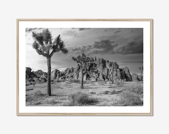 Joshua Tree Wall Art, Black White Desert Photography, California Landscape Print