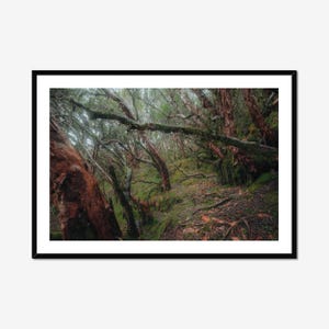 Cotopaxi Mountain Photo Poster Print, Cotopaxi Wall Photography, Ecuador Landscape Photography, Mountain Wall Art, Ecuador Wall Art