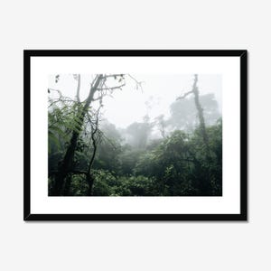 Misty Rainforest Wall Art, Tenorio Volcano National Park Costa Rica Photo Print, Moody Nature Print