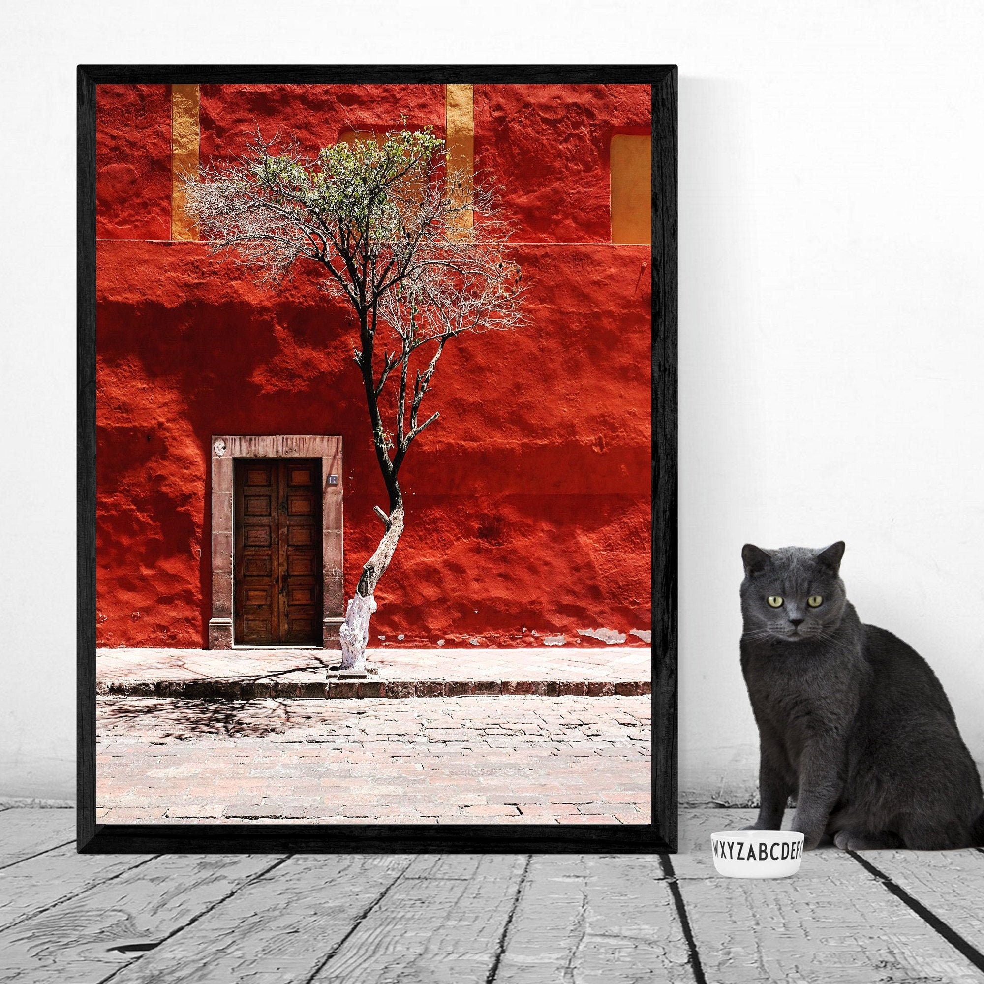 Queretaro Mexico Fine Art Print, Mexico Canvas Art, Mexico Home Decor, Mexico Wall Art, Door Wall Art, Large Canvas Art
