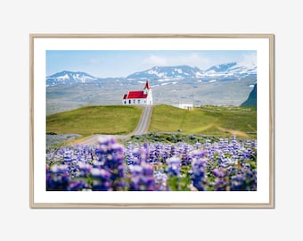 Ingjaldshólskirkja Iceland Print | White Church Landscape Photography | Lupine Field Wall Art | Scandinavian Decor