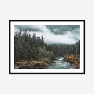 Foggy Vancouver Island Photo Print: Wallys Creek Misty Forest Landscape
