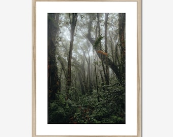 Costa Rica Cloud Forest Print, Santa Elena Cloud Forest, Misty Rainforest Photo, Costa Rica Wall Art, Moody Forest Photo
