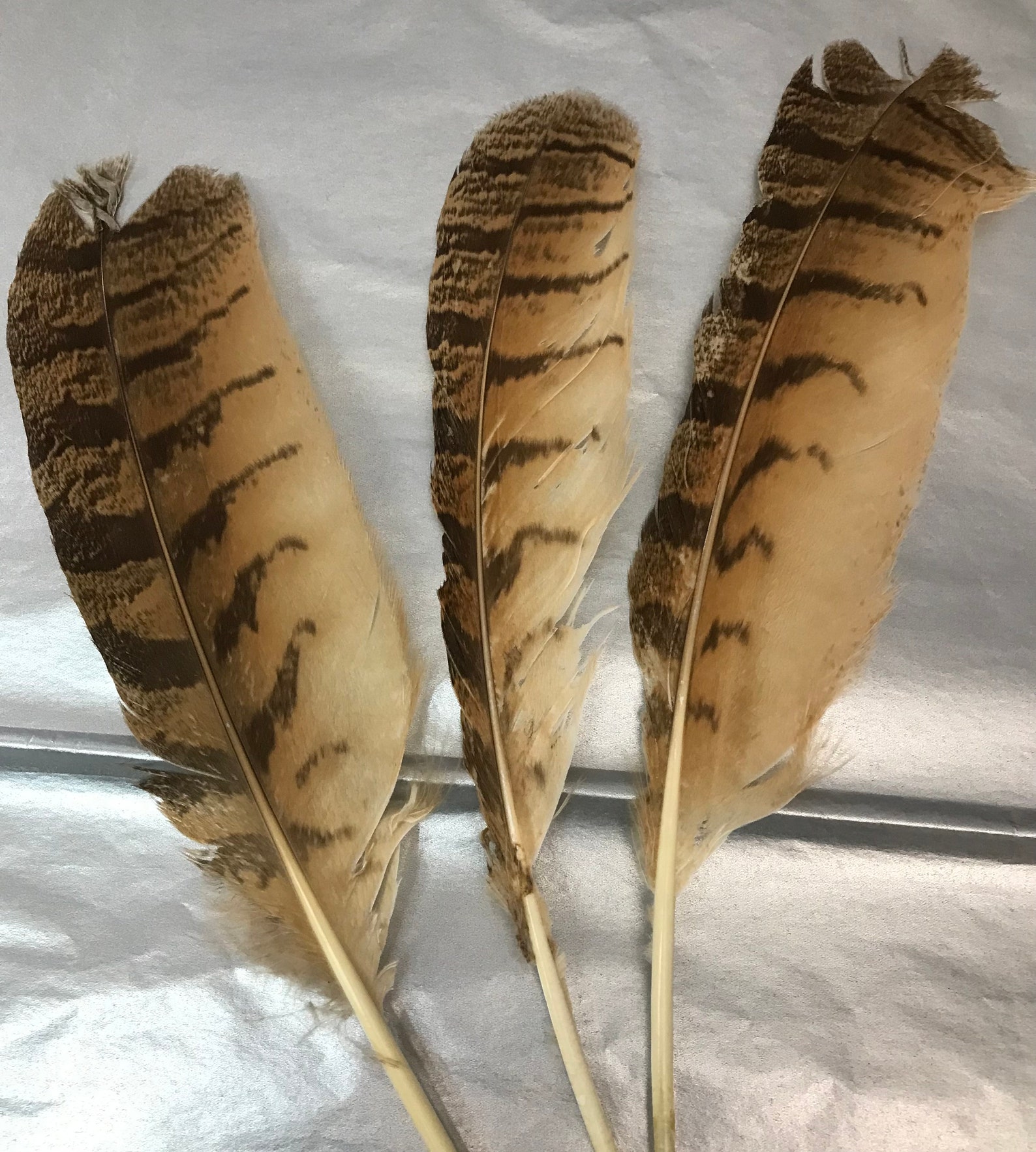 Imitation Brown Eagle Feather for Smudge Kit, Crafts Etsy
