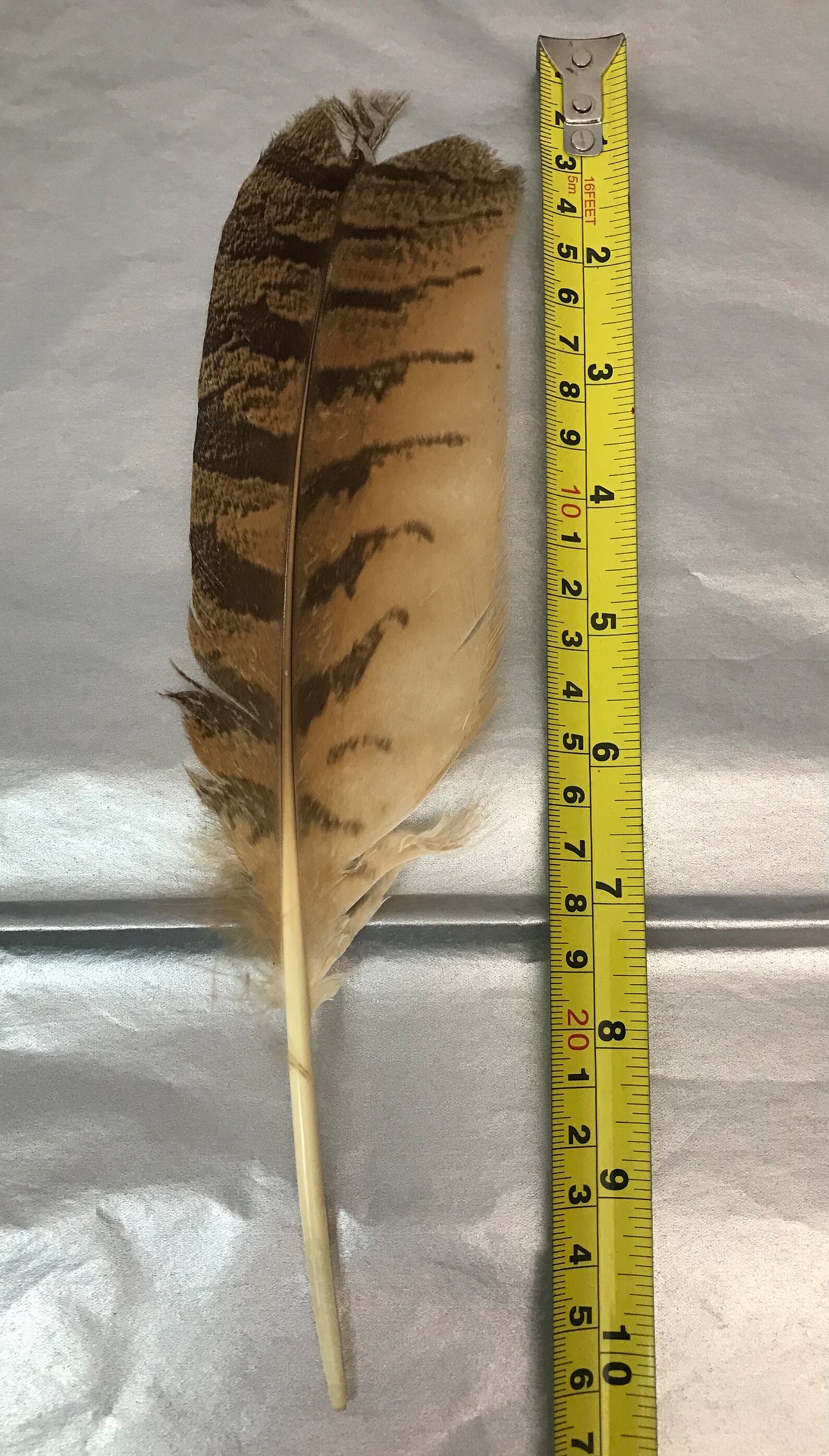 Imitation Brown Eagle Feather for Smudge Kit Crafts Etsy