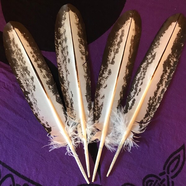 Owl Feather Etsy