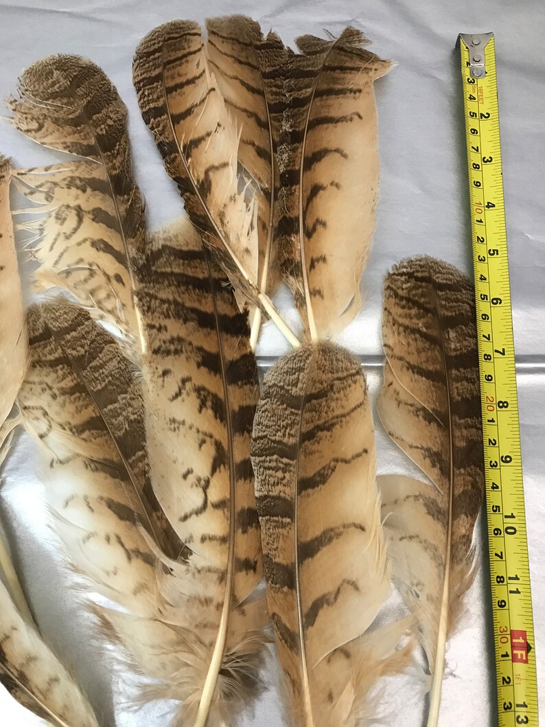 Imitation Brown Eagle Feather for Smudge Kit Crafts Etsy