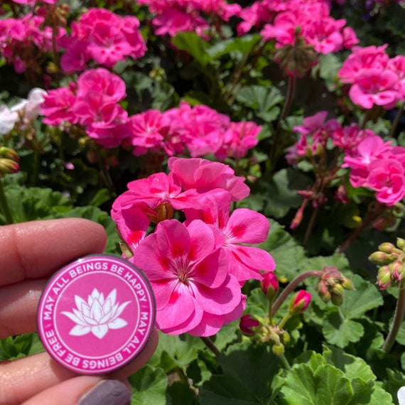 Buddhist Pin | White Lotus Button | May All Beings Be Happy-May All Beings Be Free 1.25" Round Button | Mettā Prayer | Gift For Buddhist