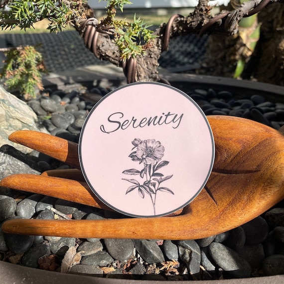 12 Step Recovery 3" Serenity Sticker | AA Slogan | Friend Of Bill W. | Sobriety Sticker | Recovery Life | Al-Anon Sticker