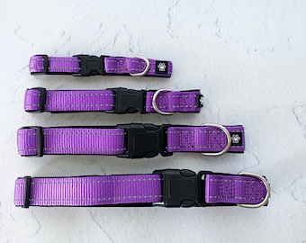 Soft neoprene padded, adjustable, reflective, nylon dog collar - Ruff n Tumble (PURPLE)