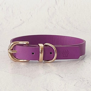 Castiel collar Purple image 1