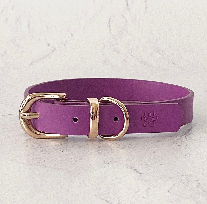 Castiel collar Purple image 1