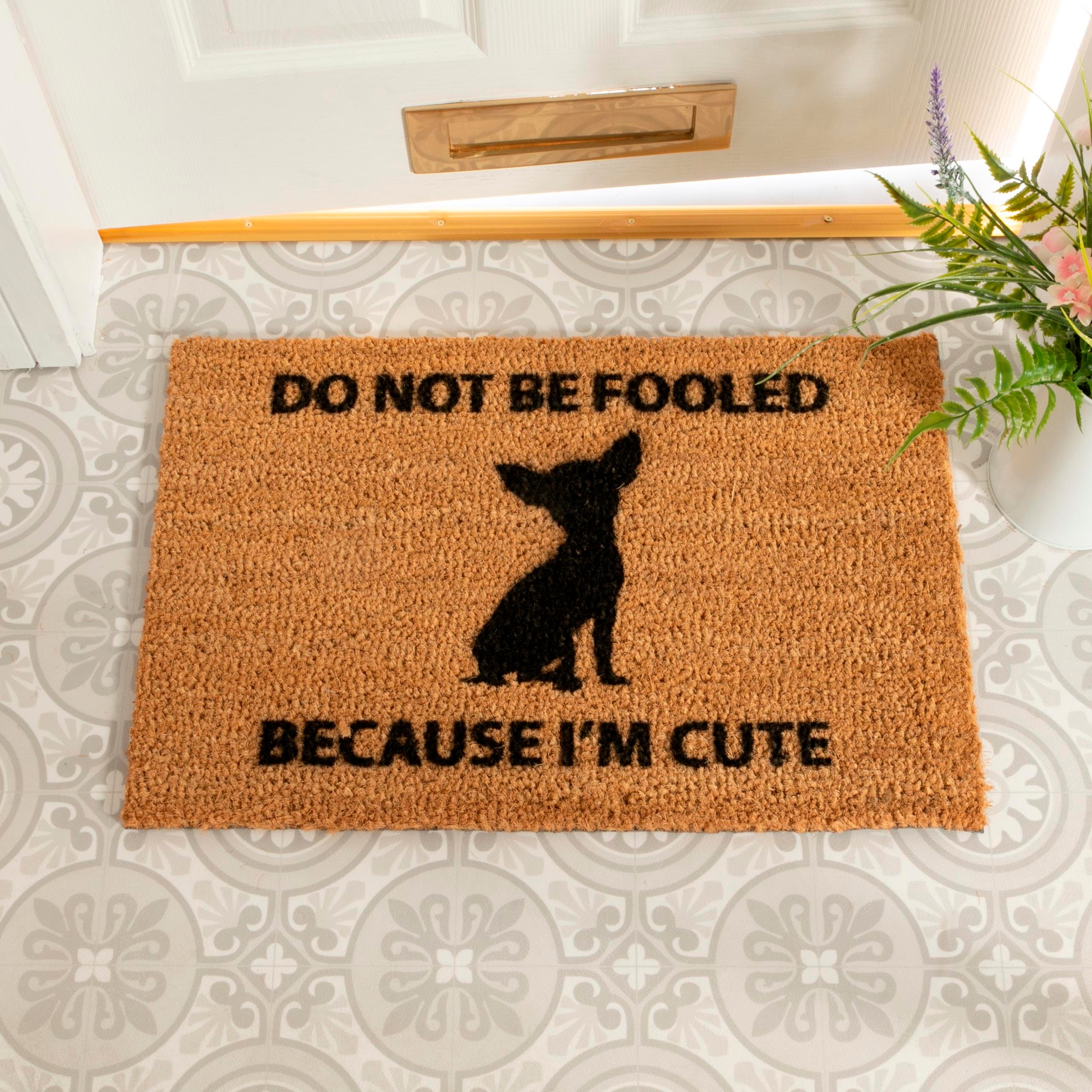 New Home Gifts Warning Chihuahua 24-Hour Surveillance Funny Pet Home Doormat 